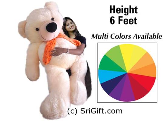 10 feet teddy