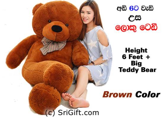 teddy bear images 6 feet