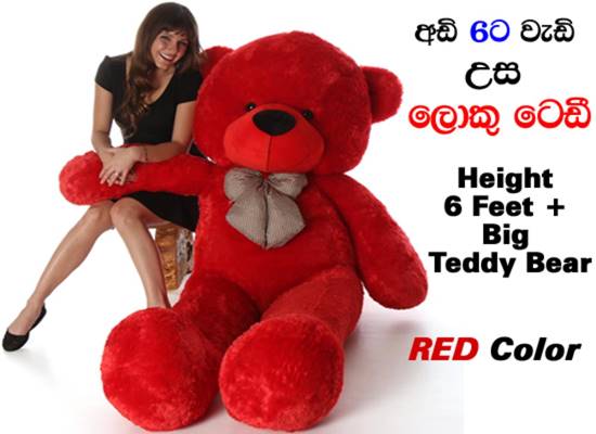 red color teddy