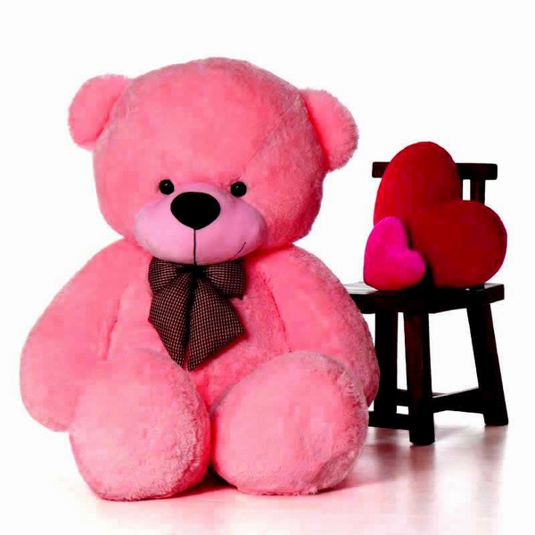 buy 5 feet teddy bear online