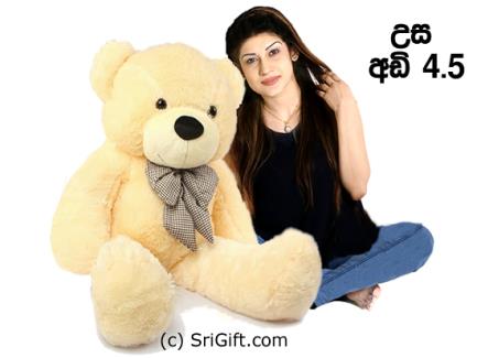 5 feet teddy bear at low price