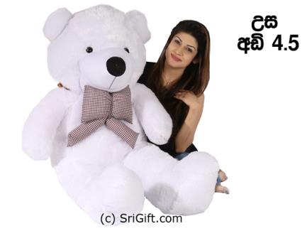 7 fit ka teddy bear