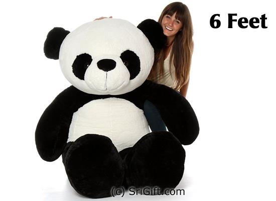 6 feet panda online shopping